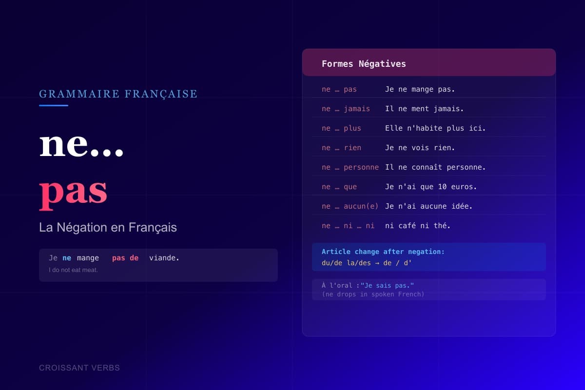Blackboard with French negation ne...pas — learning how to form negative sentences in French